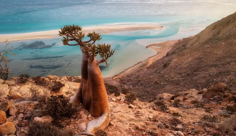 Socotra Island, Yemen