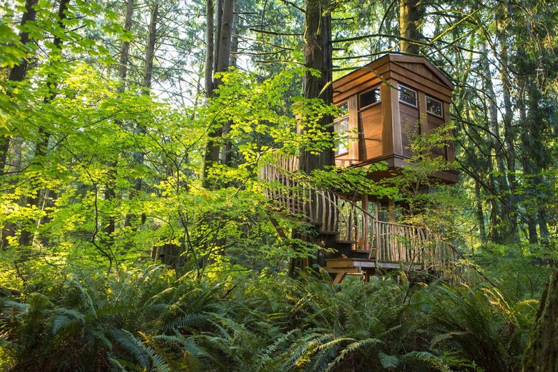 TreeHouse Point in Washington