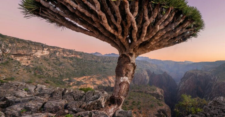 10 Off-The-Radar Places That Surprised Me — And 6 That Didn’t Live Up To The Hype