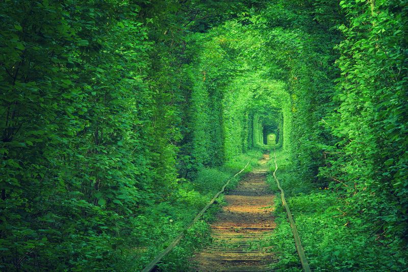 Tunnel of Love, Ukraine