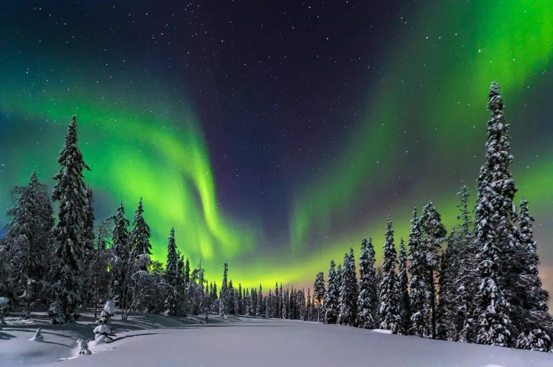 Northern Lights Chase