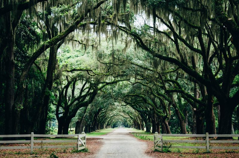 Savannah's Historic District Captivated Our Hearts
