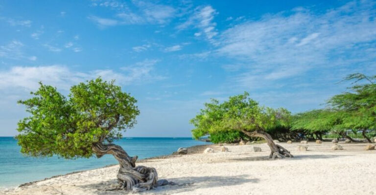 11 Caribbean Islands Where Scams Are Common + 11 Safer Alternatives