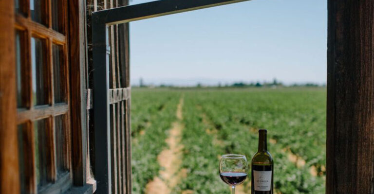 11 Reasons Lodi, California, Is The Next Napa Valley (Without The Crowds)