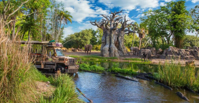 12 Biggest Zoos In The U.S. That Belong On Your Travel Itinerary