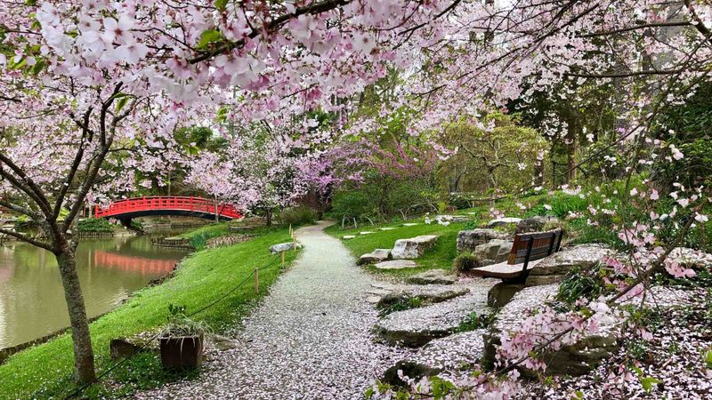 Duke's Garden Trails