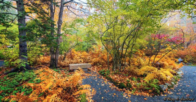 12 Highlights To Catch In Acadia On 2025’s Free Admission Days