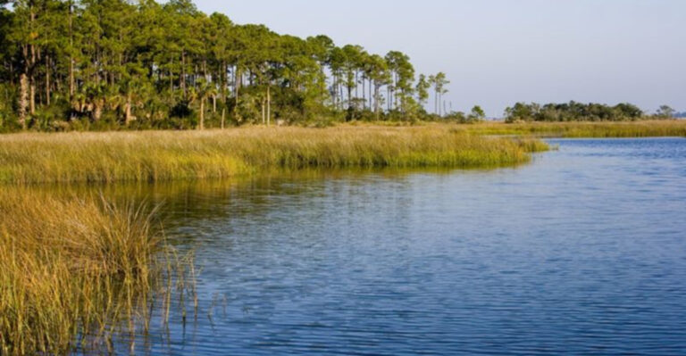 12 Must-See Spots In Mayport, Florida’s Hidden Coastal Gem