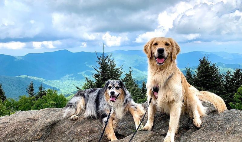 Asheville, NC – Blue Ridge trails