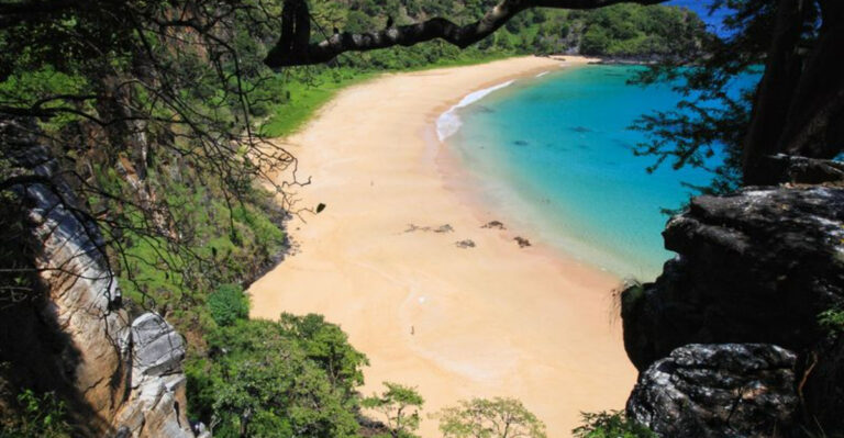 12 of the best beaches in Brazil for surfing and sunbathing
