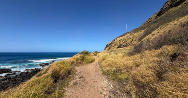 14 Epic Hikes On Oahu For Your Next Island Adventure