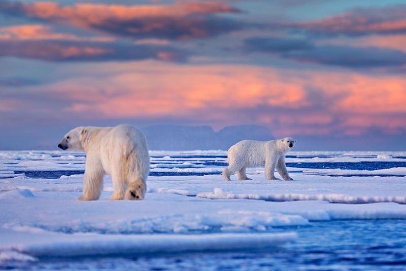 Svalbard, Norway: Arctic Wilderness Playground