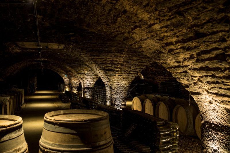 Beaune Wine Caves