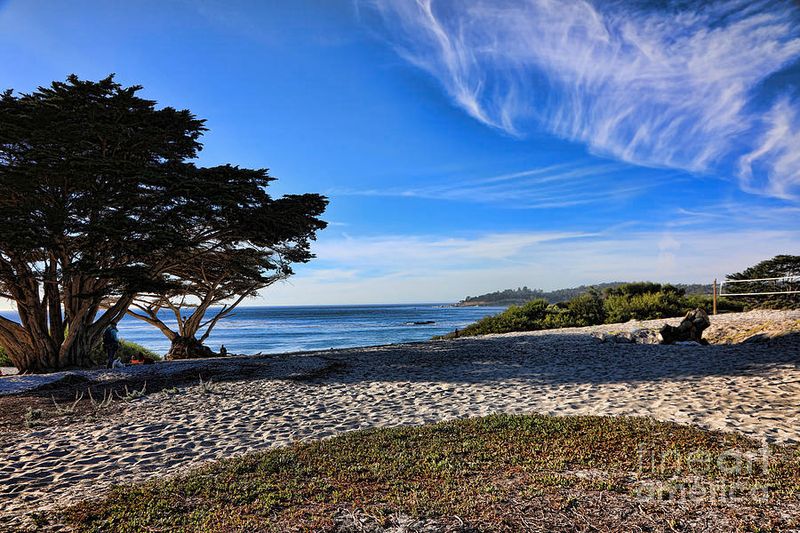 Carmel Beach