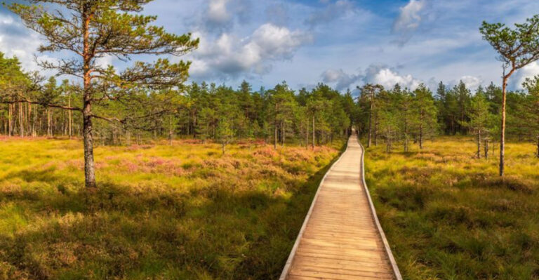 15 Must-Visit Places From My Rejuvenating Wellness Weekend In Estonia