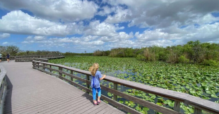 15 Top US Family Destinations For 2025: Enriching Adventures Await