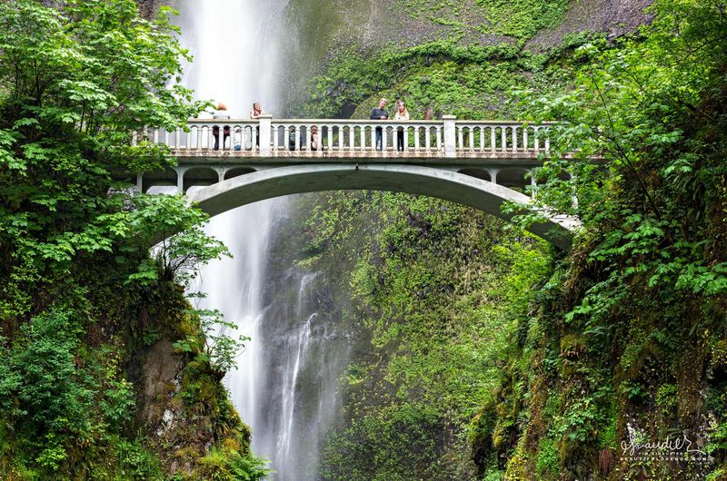 Multnomah Falls - The Crown Jewel
