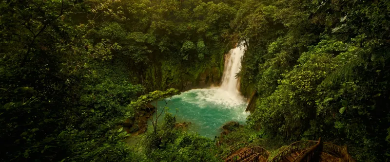 Costa Rica Rainforests