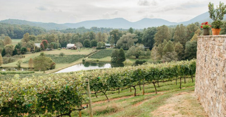 17 Best North Georgia Vineyards