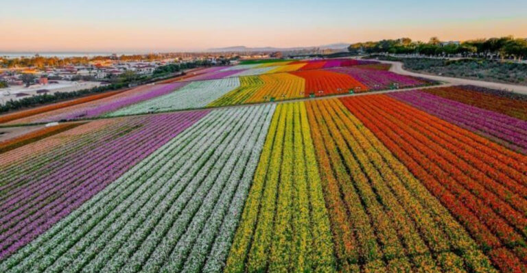17 Best Weekend Getaways From Los Angeles