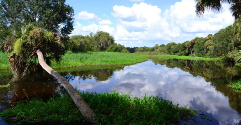 17 Hidden Florida State Parks That Feel Like The Caribbean—Plus 2 You Absolutely Can’t Miss