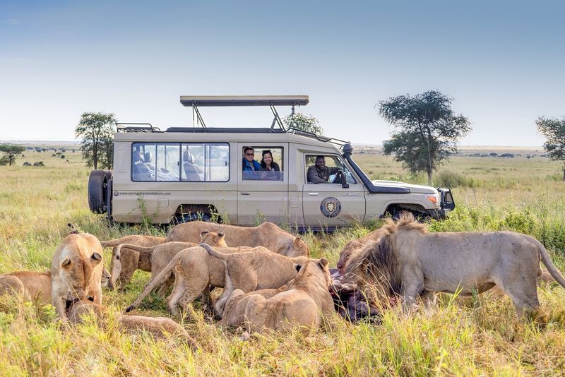 Safari in Tanzania's Serengeti