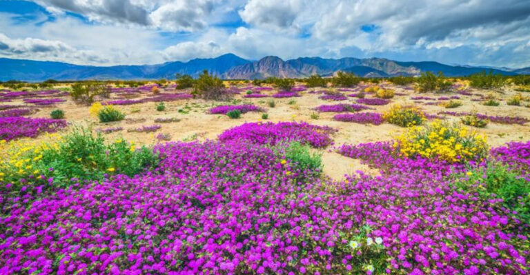 17 State Parks To Visit Instead Of Overcrowded National Parks