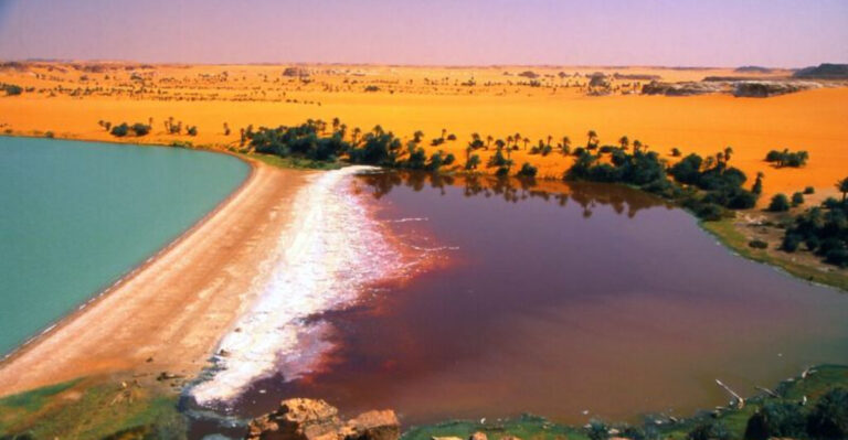 19 Magical Oases In The Heart Of The Sahara