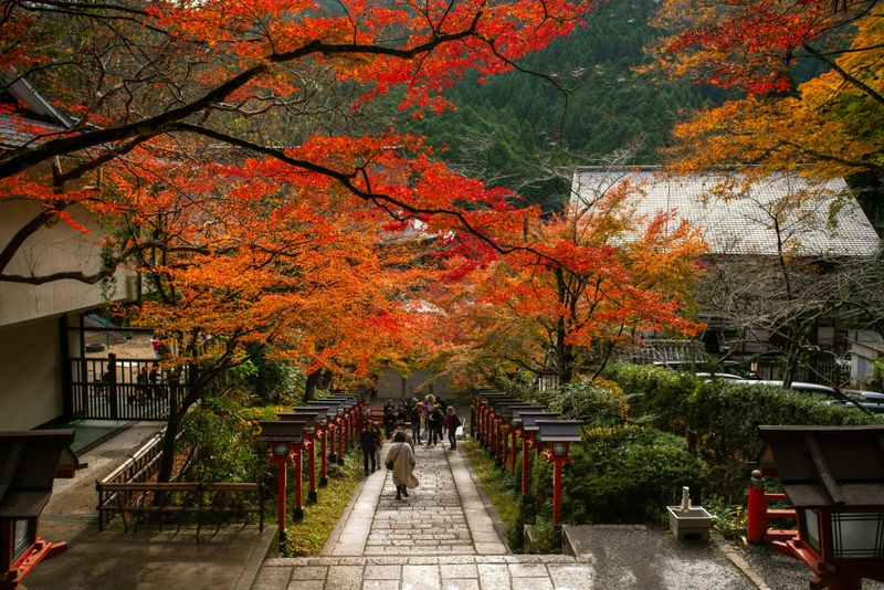 Kyoto Peaceful Walks