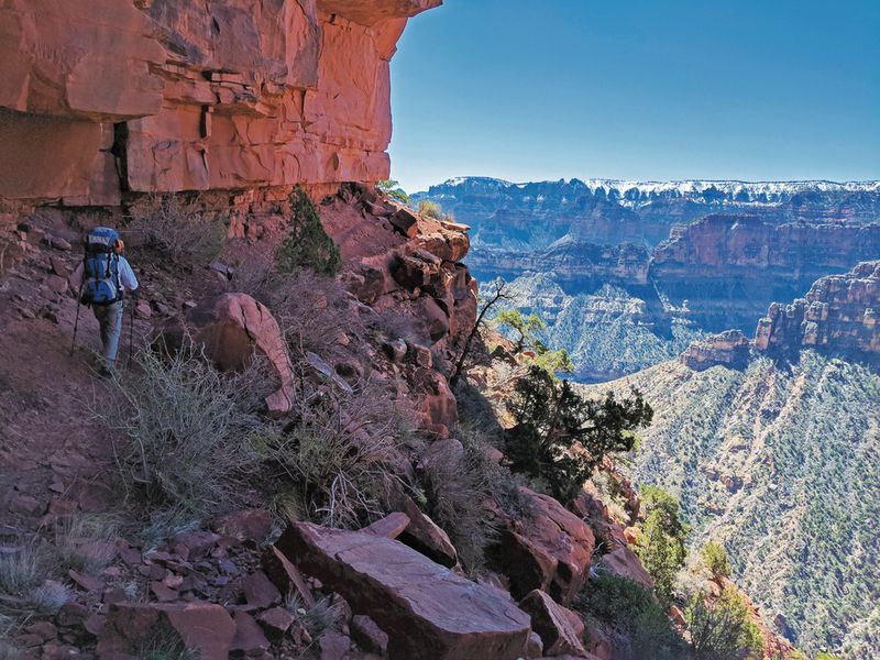 Grand Canyon: Where Beauty Meets Deadly Drops