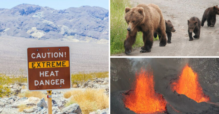 20 U.S. National Parks That Are Actually Dangerous To Visit