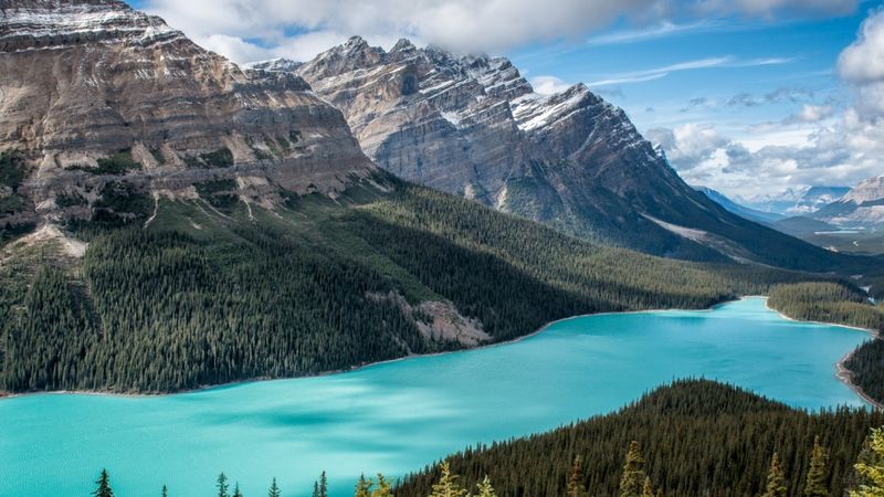 Icefields Parkway Drive