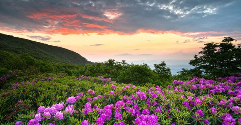 22 Ways To Make The Most Of A Trip To Asheville, North Carolina