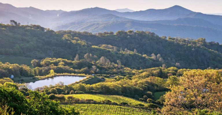 25 Underrated U.S. Towns That Are Worth A Spring 2025 Visit