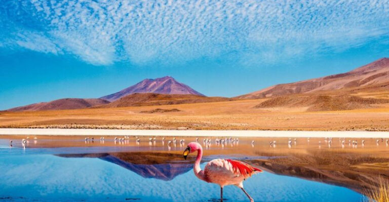 27 Destinations That Perfectly Balance Between Adventure And Relaxation In Spring 2025