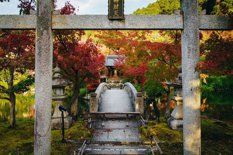 Kyoto: The City That Changes With The Seasons