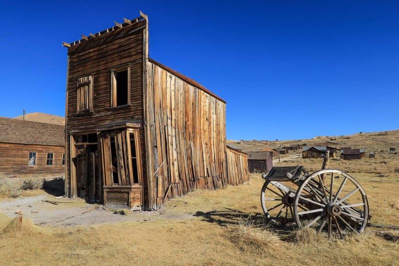 Mammoth City: The Ghost Town That Never Roared