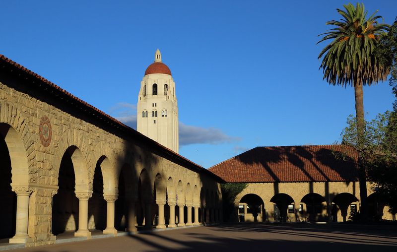 Stanford's Palm-Lined Paths