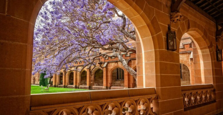 9 Campuses So Gorgeous I Forgot I Was There To Study — And 5 That Felt More Like Strip Malls