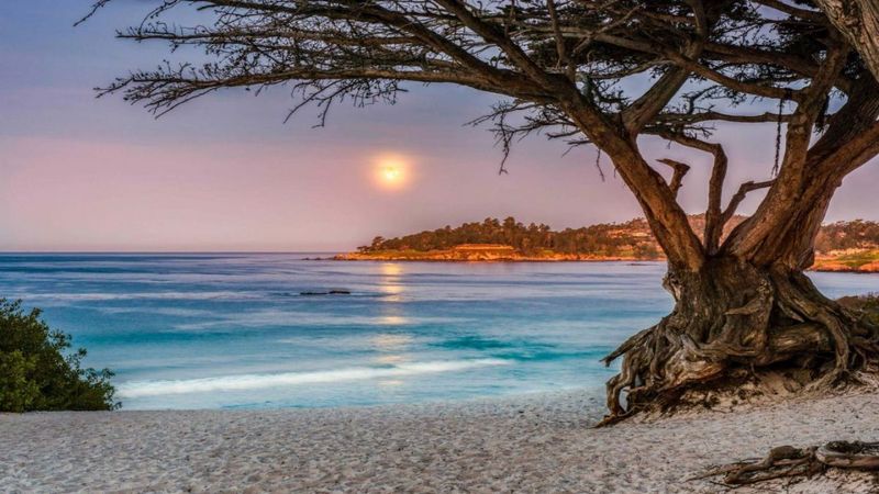 Coastal Charm in Carmel-by-the-Sea