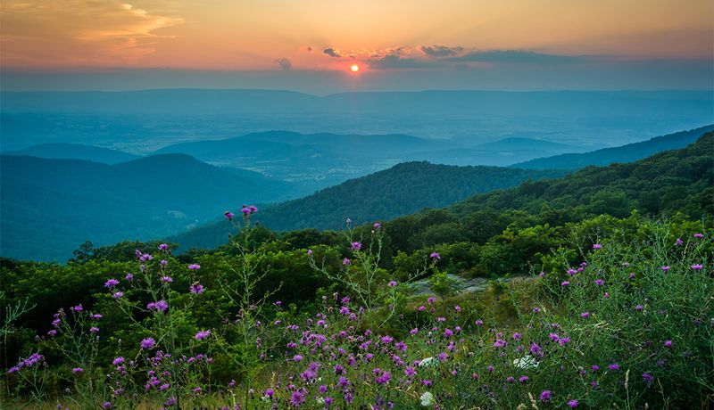 Shenandoah National Park – Virginia