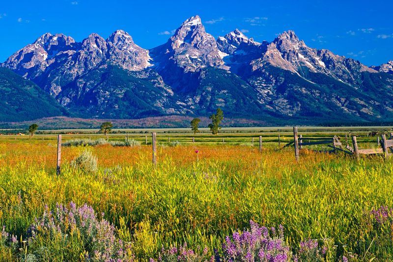 Wyoming Wide-Open Bliss