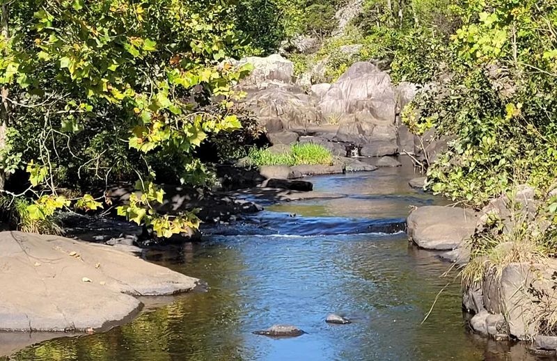 Missouri Forest Clearings