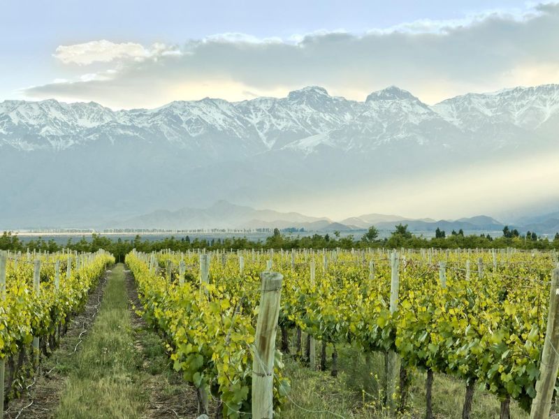 Colchagua Valley Charm