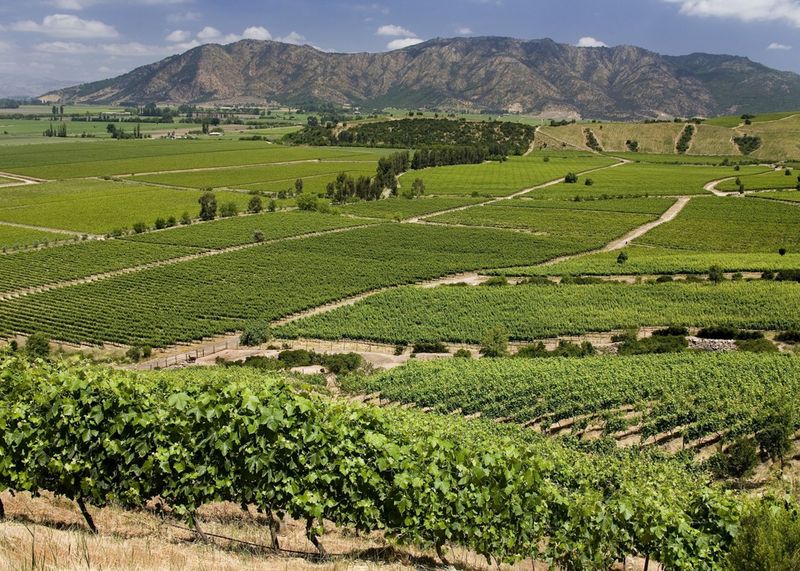 Colchagua Valley, Chile