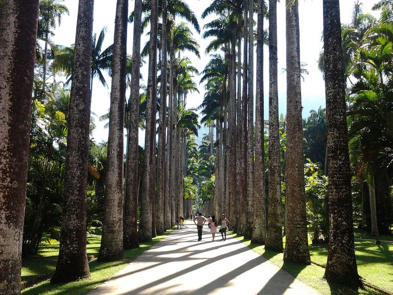 Jardim Botânico do Rio de Janeiro – Rio de Janeiro, Brazil