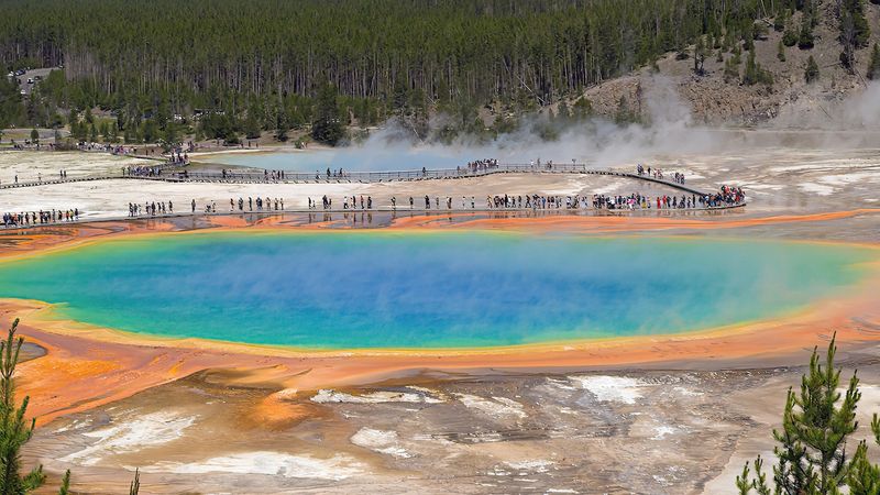 Yellowstone: A Geothermal Wonderland Worth Every Return Trip