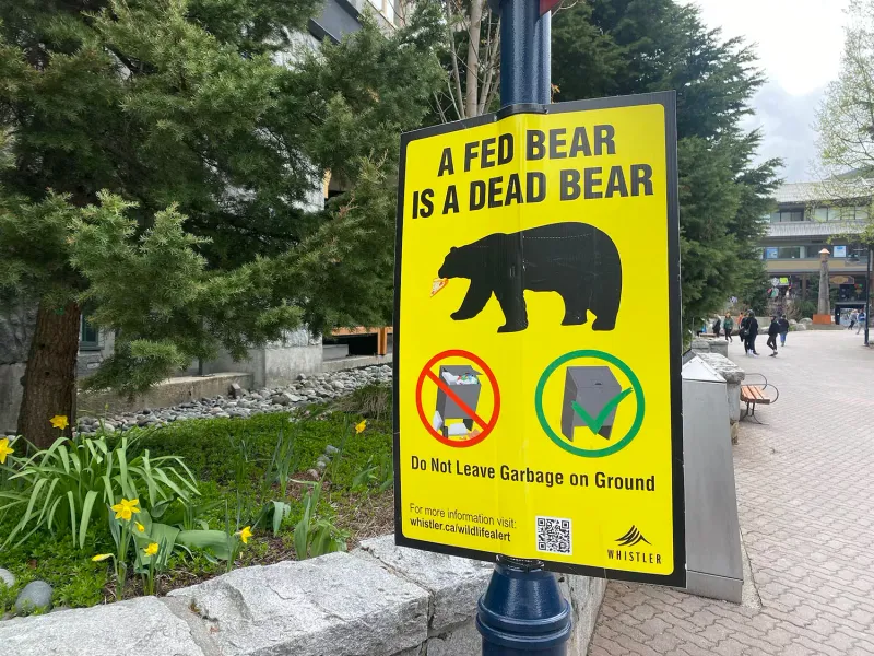 You Can Feed The Animals