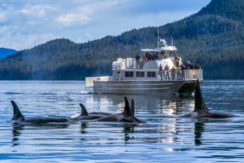 Alaskan Wilderness Cruises