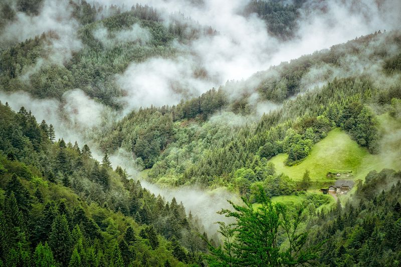 Black Forest, Germany
